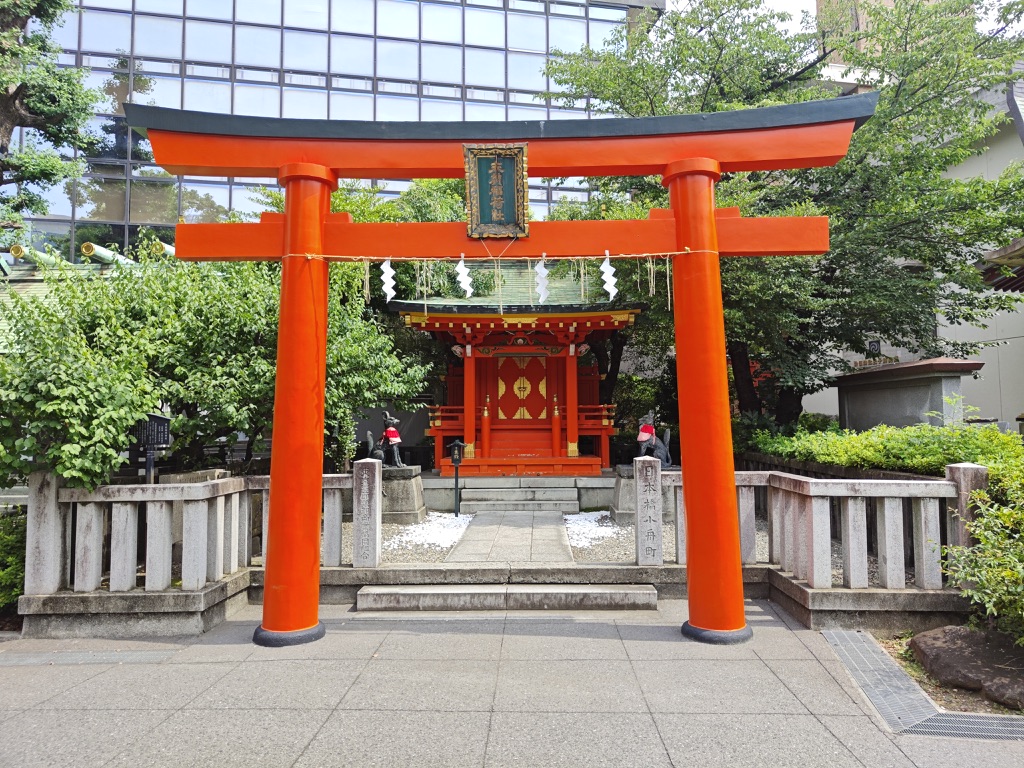 Image 4